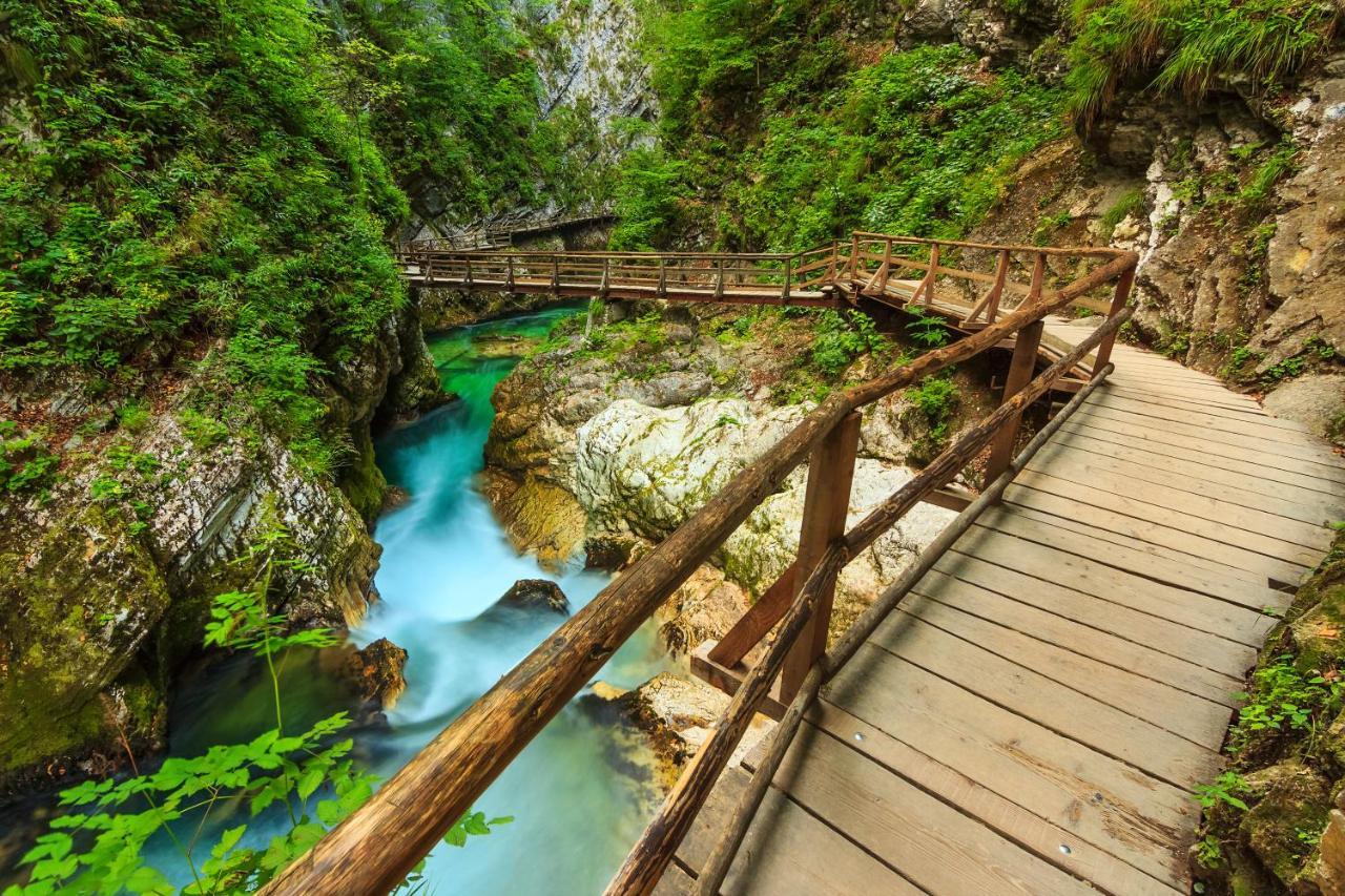 Lake Bled Holiday Home Екстер'єр фото
